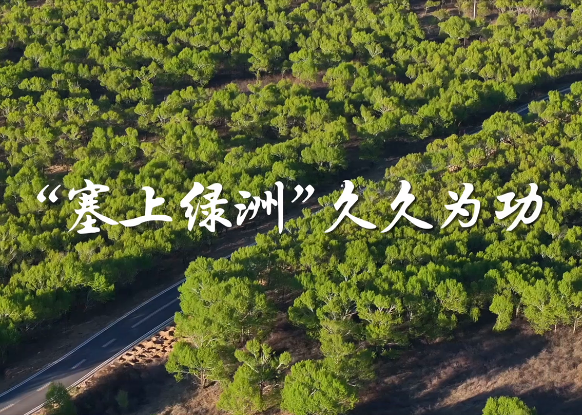 学习·故事丨“塞上绿洲”久久为功真正的政绩，从来不是写在纸上、挂在嘴上的虚功，而是留在绿水青山间、刻在百姓心坎里的实绩。　　防沙治沙犹如“滚石上山”，具有长期性、艰巨性、反复性和不确定性，容不得半分歇脚松懈。在习近平生态文明思想指引下，黄沙退却、绿色延展，中国正成为全球荒漠生态治理新标杆。