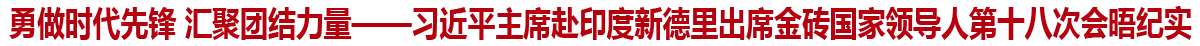 勇做时代先锋 汇聚团结力量——习近平主席赴印度新德里出席金砖国家领导人第十八次会晤纪实