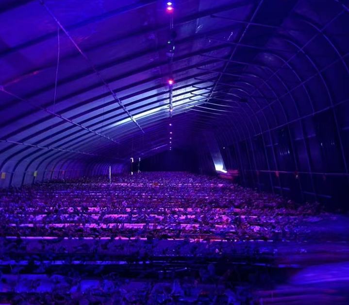 行进中国｜一束激光，照亮黑土地上的丰收路