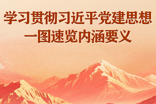 学习贯彻习近平党建思想一图速览内涵要义