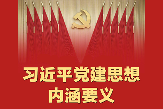 拾光纪·习近平党建思想内涵要义